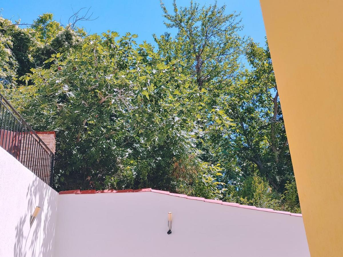 Villa Metatron U Doma Balchik Eksteriør billede